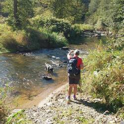 Hundestrand am Staffelbach!