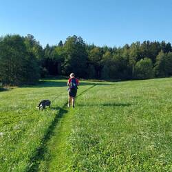Dieser tolle Pfad führte uns leider in die Irre!🙄