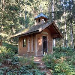 Mitten im Wald!