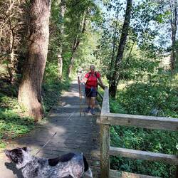 Nach langer Zeit mal wieder ein Plankenweg!