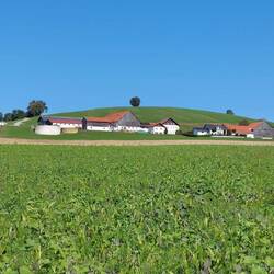 Ein bisschen Toskana!