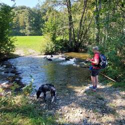 Nein nein nein, nur eine Furt für den Landmann!