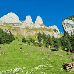 Blick zurück zur Bogarten Lücke...