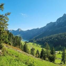 Hier gehts dann das Tal zurück Richtung Brülisau