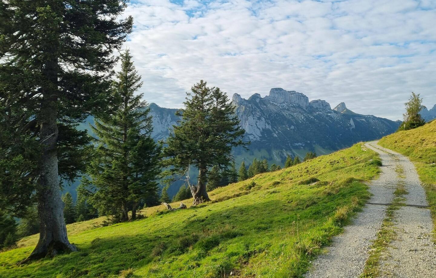 Höhenwanderung Alp Sigel - Bogarten Lücke