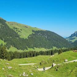 Blick auf Alp Sigel, wo wir am Morgen entlang wanderten.