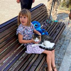 Encountering a young Portuguese girl with her cat.