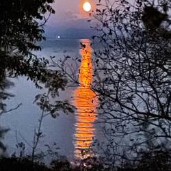 Amazing moon tonight