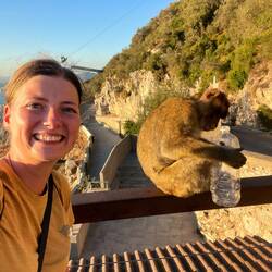 Der Affe hat jemandem eine Flasche geklaut 🫣