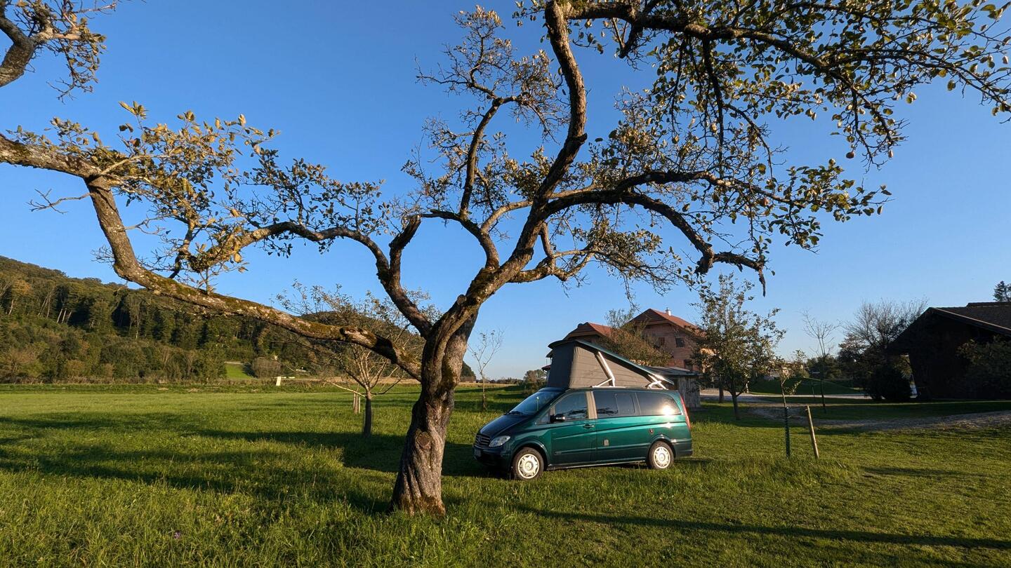 Schlafen unterm Apfelbaum