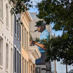 Always look up, you might miss something otherwise