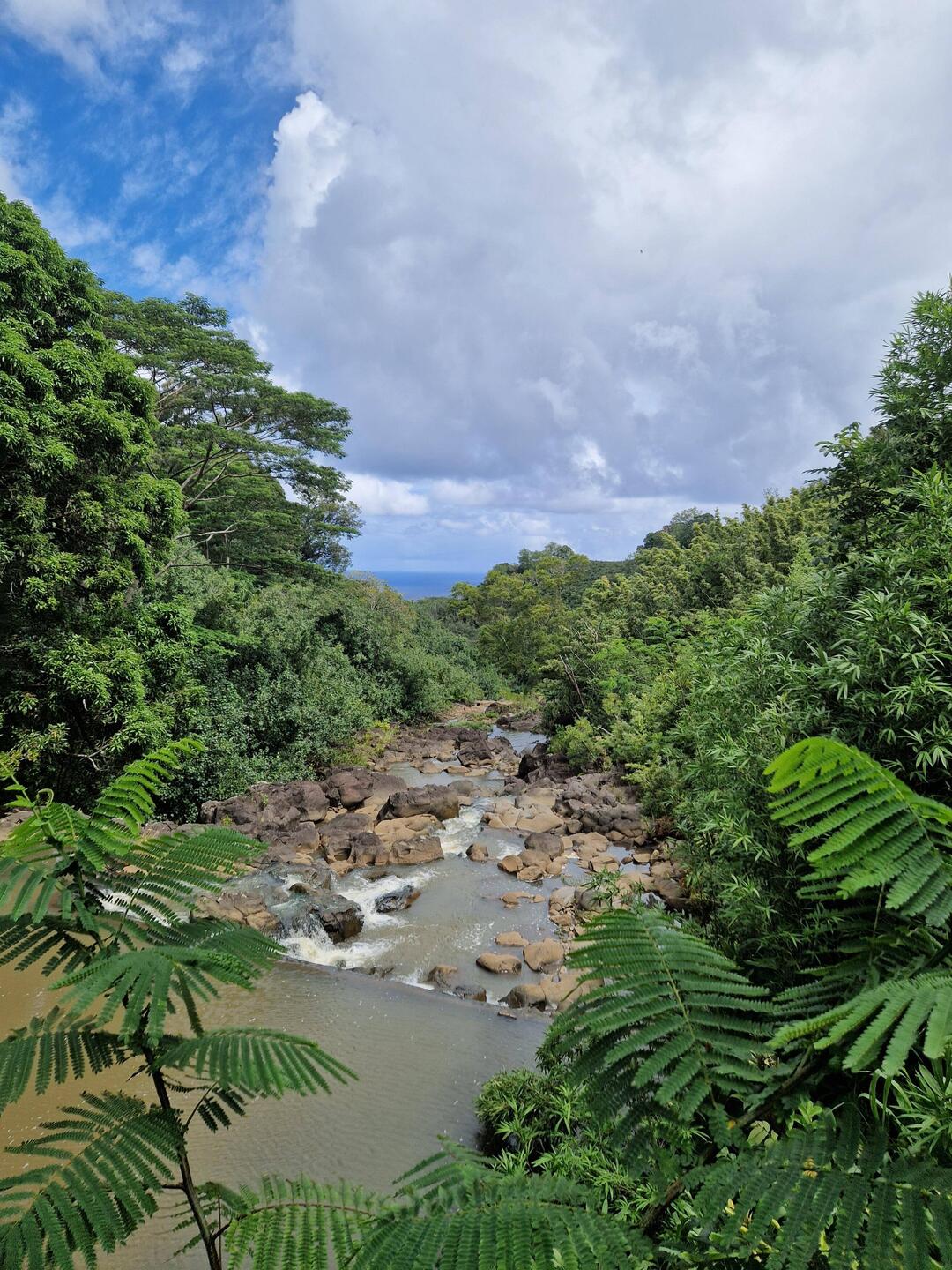 Aussicht auf einer Brücke nach Hana