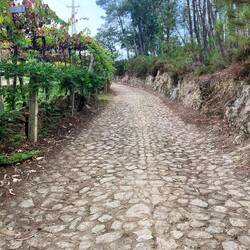 Aw not more cobblestones!