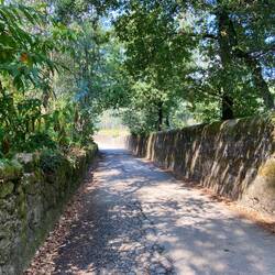 Stone walls marked every boundary
