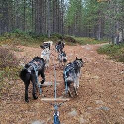 Training mit dem B-Team