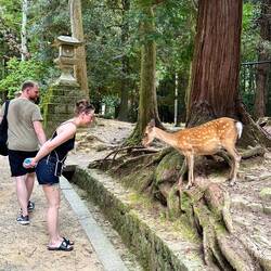 Einmal verbeugen bitte