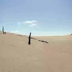 Sand, noch mehr Sand, und Rolf 😍