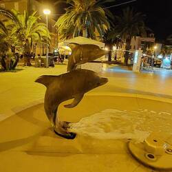 noch mal von ganz nah, aber leider nicht lebendig ...