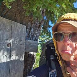 Hummingbear wäre gerne noch geblieben