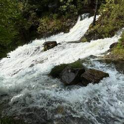 An dieser Stelle des Wanderweges zeigte Jana dann Nerven!