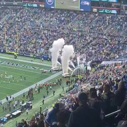 Einlauf der Seahawks