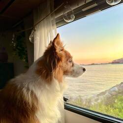 Der Ausblick am Abend 🥰