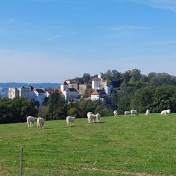 Erster Blick auf die Burg oberhalb von Passau!