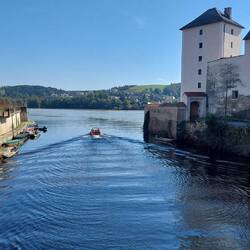 Die Mündung der Ilz in die Donau!