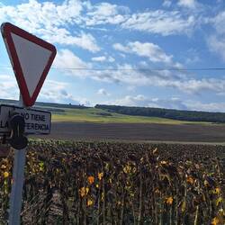 I've felt like that.