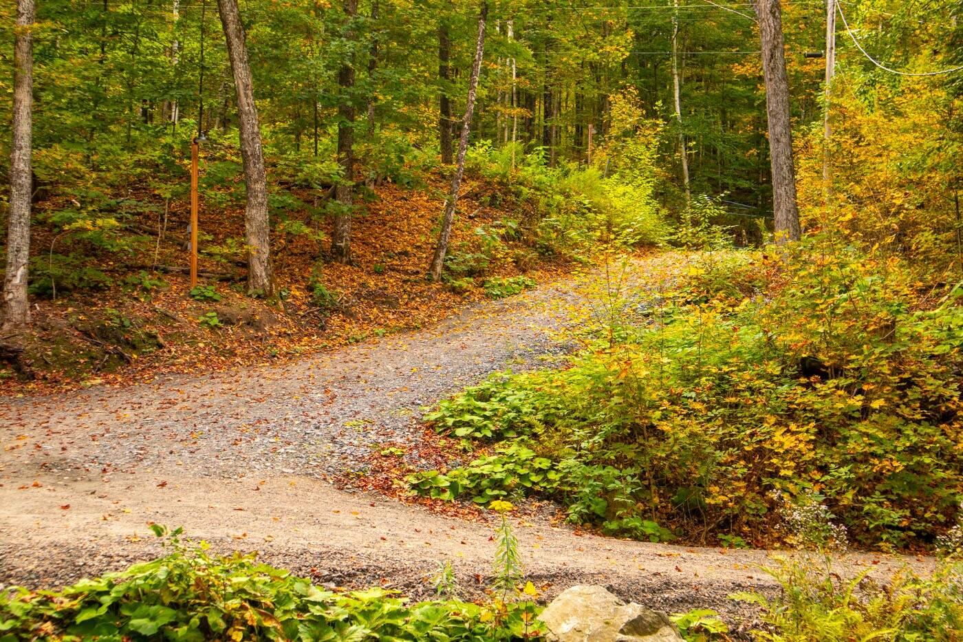 Driveway leading to the cottage