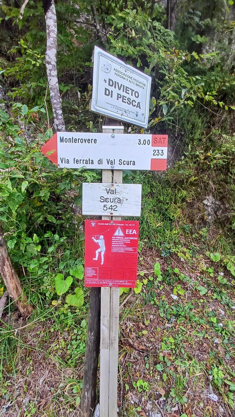 Heute geht's da hinauf