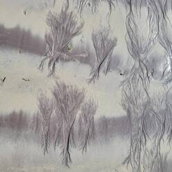 It was low tide on a beautiful sand beach. The seaweed left amazing patterns in the sand