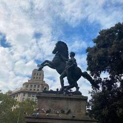 Plaça de Catalina's - pigeons everywhere