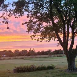 Ausblick von unserem schönen Ferienhaus