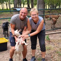 Die Ziegen 🐐 der Feemsters