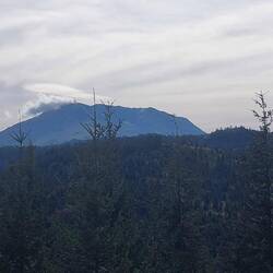 Mount St. Helen - er raucht ...
