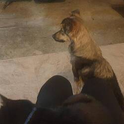 Dann kam noch Harley