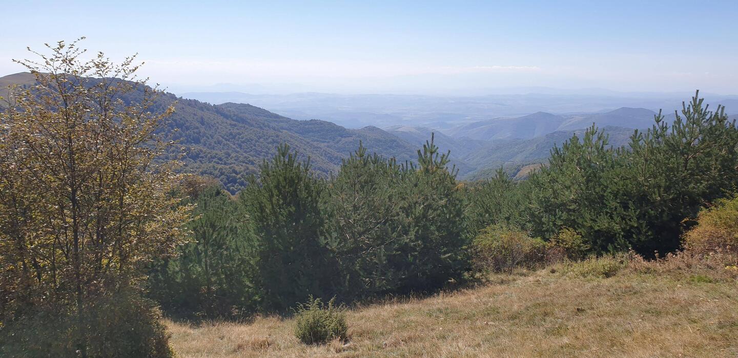 Schöner Blick in die Ferne