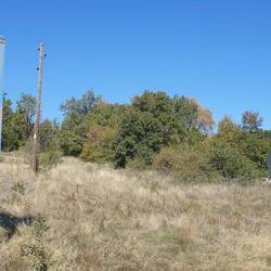 Und etwas abseits grüßt ein Schrein