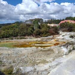 Whakarewarewa