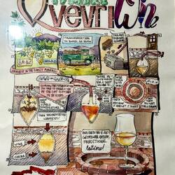 Weinprozess bildhaft dargestellt