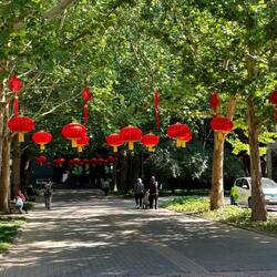 Chaoyang Park