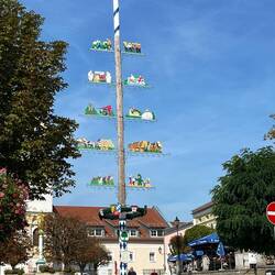 Prächtiger Maibaum von Bad Kötzting