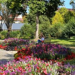 Eine farbenprächtige Kulisse!