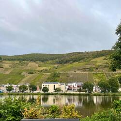 Blick vom Stellplatz