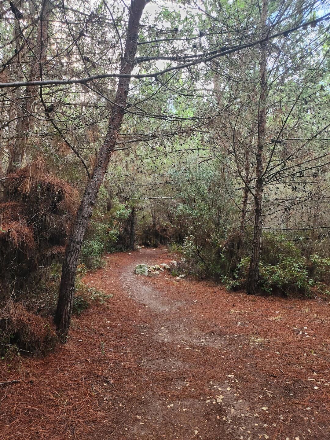 Path out to the Lighthouse