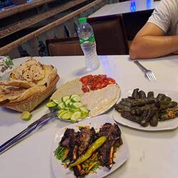 Baba Ganoush, Hummus, gefüllte Weinblätter und Auberginen und Schaf... super lecker! 😋
