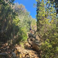 The "goat track" from Agios Nikitas village to Milos Beach