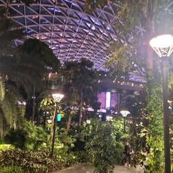 Qatar Orchard 🇶🇦🌿