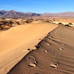 Auf den Dünen unterwegs